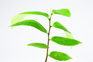 新能源汽车后排空间实测，家用车型推荐